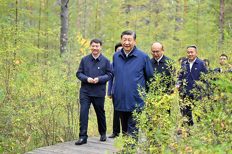 9月6日至8日，中共中央總書記、國家主席、中央軍委主席習(xí)近平在黑龍江考察。這是6日下午，習(xí)近平在大興安嶺地區(qū)漠河市漠河林場自然林區(qū)考察